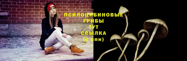 соль курить ск Надым