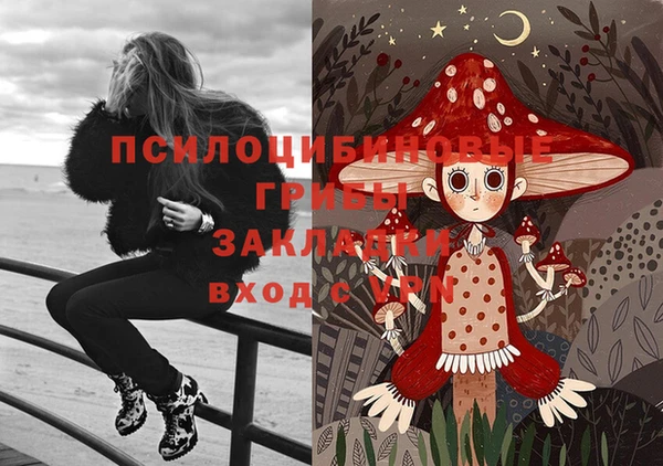 соль курить ск Надым